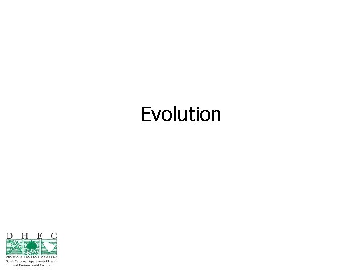 Evolution 