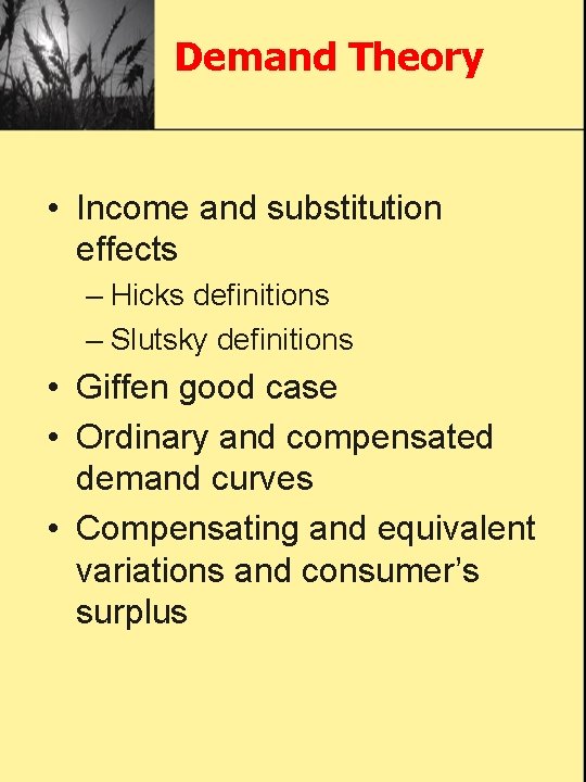 Demand Theory • Income and substitution effects – Hicks definitions – Slutsky definitions •