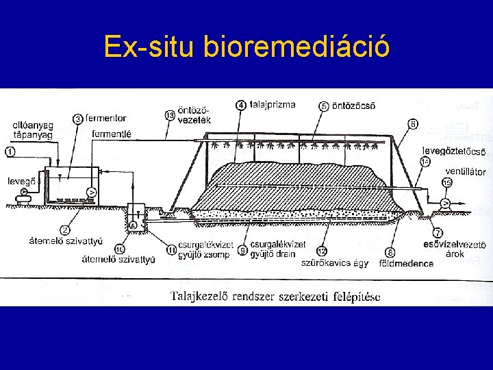 Ex-situ bioremediáció 