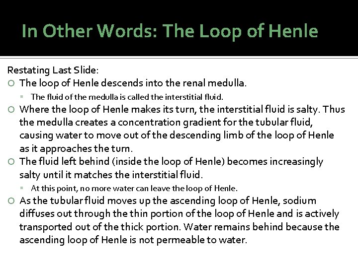 In Other Words: The Loop of Henle Restating Last Slide: The loop of Henle In Other Words: The Loop of Henle Restating Last Slide: The loop of Henle