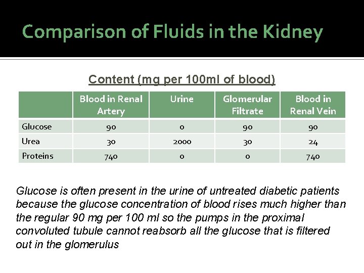 Comparison of Fluids in the Kidney Content (mg per 100 ml of blood) Blood Comparison of Fluids in the Kidney Content (mg per 100 ml of blood) Blood