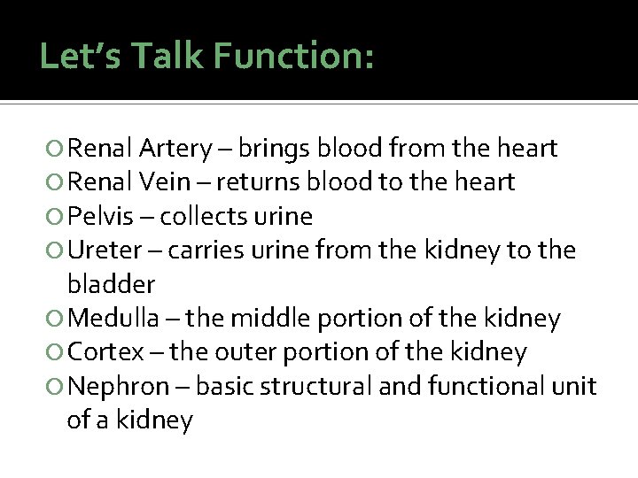 Let’s Talk Function: Renal Artery – brings blood from the heart Renal Vein – Let’s Talk Function: Renal Artery – brings blood from the heart Renal Vein –