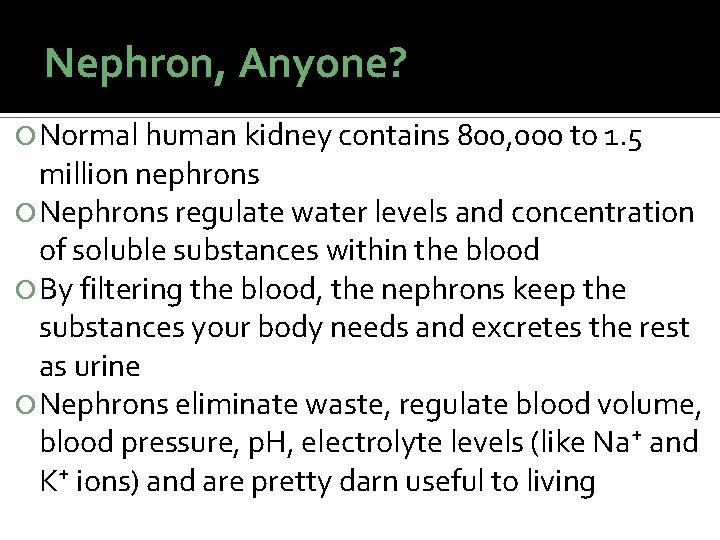 Nephron, Anyone? Normal human kidney contains 800, 000 to 1. 5 million nephrons Nephrons Nephron, Anyone? Normal human kidney contains 800, 000 to 1. 5 million nephrons Nephrons