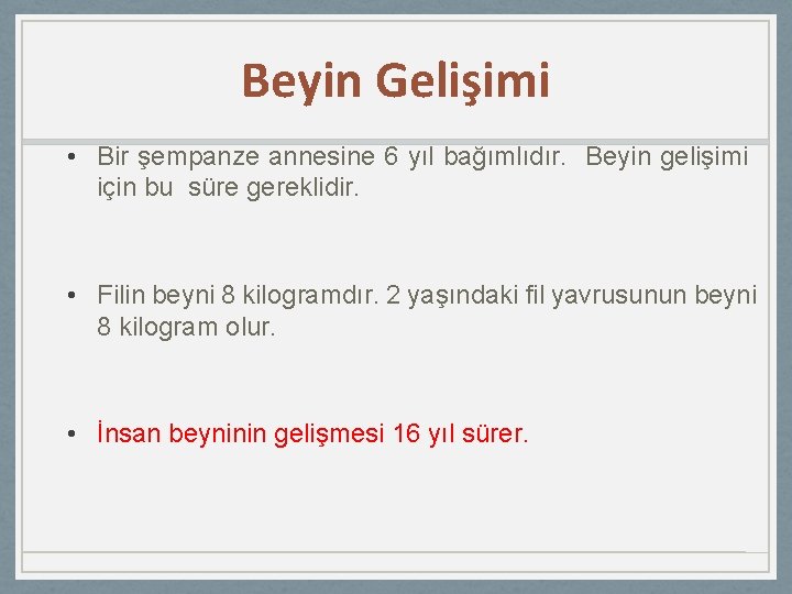 Beyin Gelişimi • Bir şempanze annesine 6 yıl bağımlıdır. Beyin gelişimi için bu süre