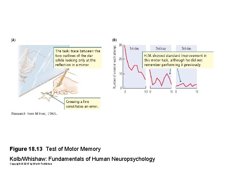 Figure 18. 13 Test of Motor Memory Kolb/Whishaw: Fundamentals of Human Neuropsychology Copyright ©