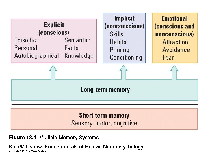 Figure 18. 1 Multiple Memory Systems Kolb/Whishaw: Fundamentals of Human Neuropsychology Copyright © 2015