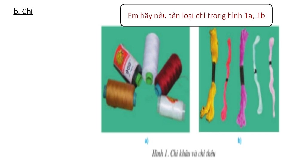 b. Chỉ Em hãy nêu tên loại chỉ trong hình 1 a, 1 b