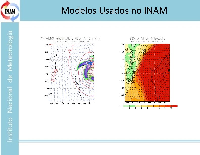Modelos Usados no INAM 