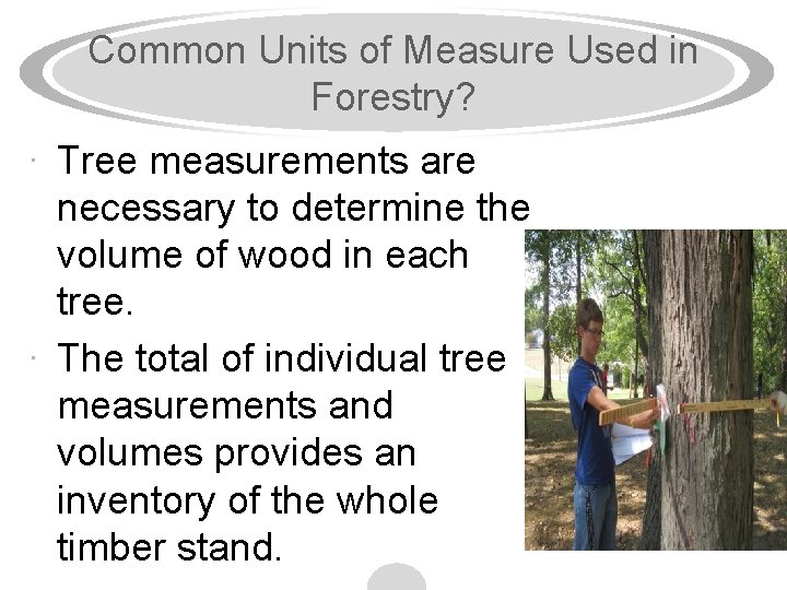 Common Units of Measure Used in Forestry? · Tree measurements are necessary to determine