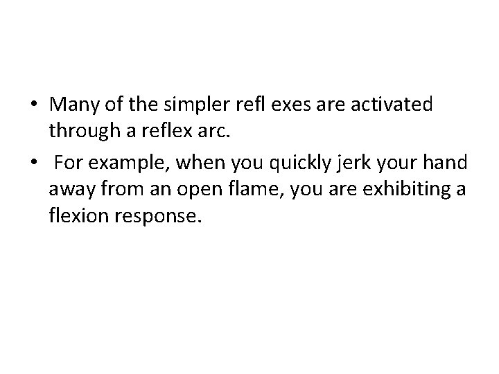  • Many of the simpler refl exes are activated through a reflex arc.