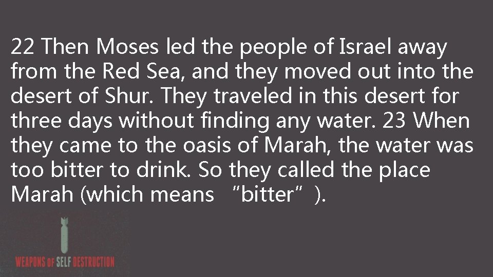 22 Then Moses led the people of Israel away from the Red Sea, and