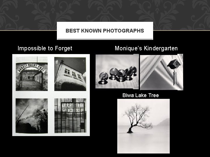 BEST KNOWN PHOTOGRAPHS Impossible to Forget Monique’s Kindergarten Biwa Lake Tree 