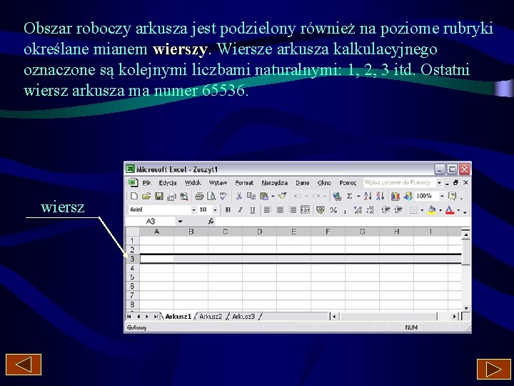 Obszar roboczy arkusza jest podzielony również na poziome rubryki określane mianem wierszy. Wiersze arkusza