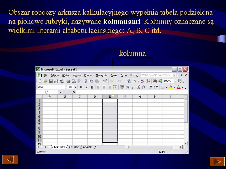 Obszar roboczy arkusza kalkulacyjnego wypełnia tabela podzielona na pionowe rubryki, nazywane kolumnami. Kolumny oznaczane