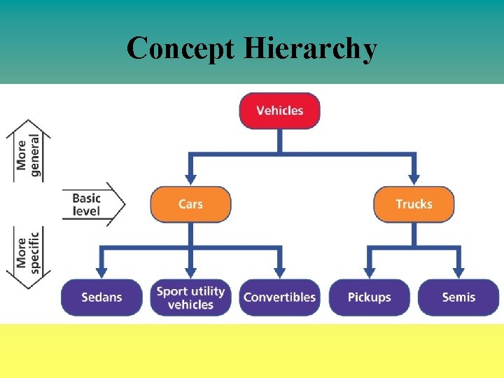 Concept Hierarchy 