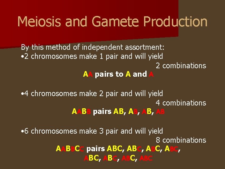 Meiosis and Gamete Production By this method of independent assortment: • 2 chromosomes make