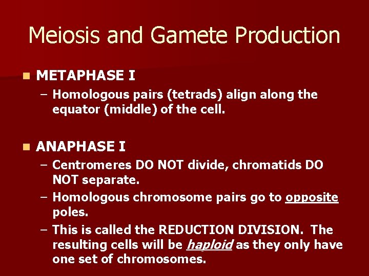 Meiosis and Gamete Production n METAPHASE I – Homologous pairs (tetrads) align along the