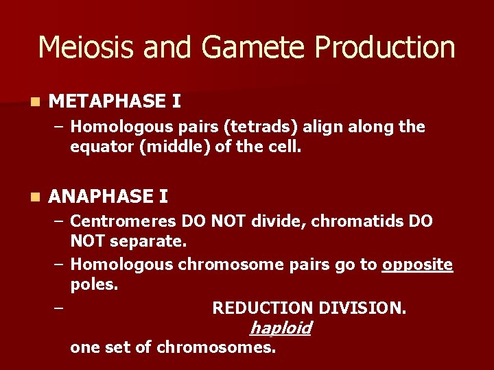 Meiosis and Gamete Production n METAPHASE I – Homologous pairs (tetrads) align along the