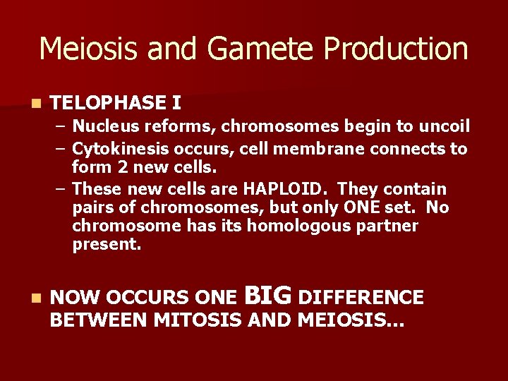 Meiosis and Gamete Production n TELOPHASE I – Nucleus reforms, chromosomes begin to uncoil