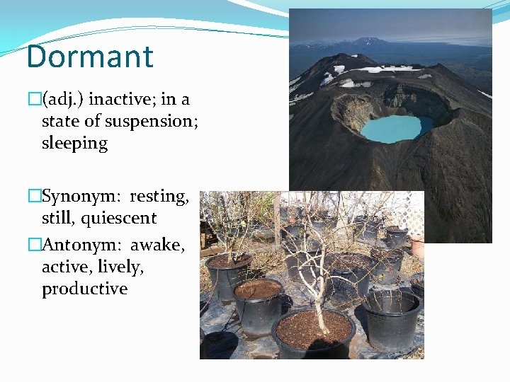 Dormant �(adj. ) inactive; in a state of suspension; sleeping �Synonym: resting, still, quiescent