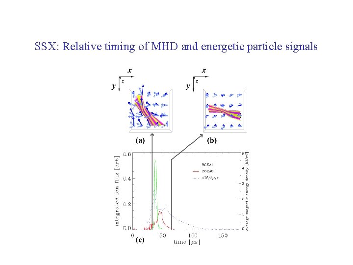 SSX: Relative timing of MHD and energetic particle signals 