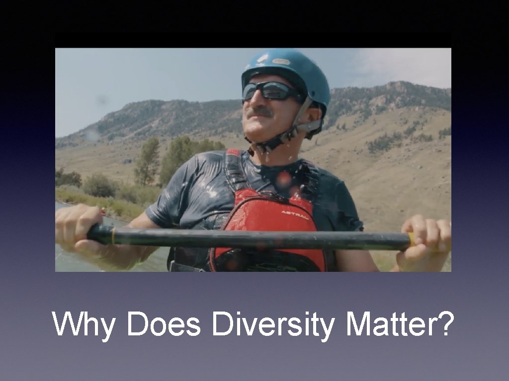 Why Does Diversity Matter? 