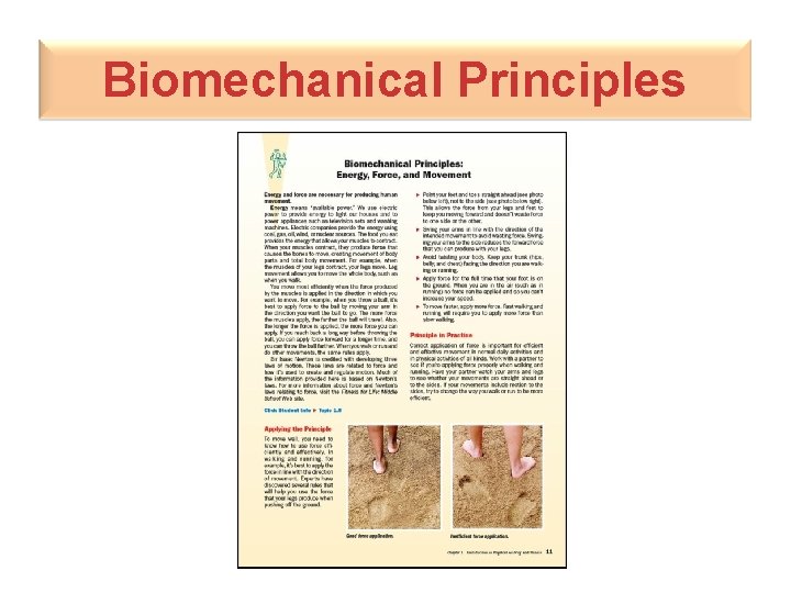 Biomechanical Principles 