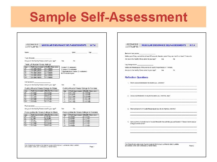 Sample Self-Assessment 