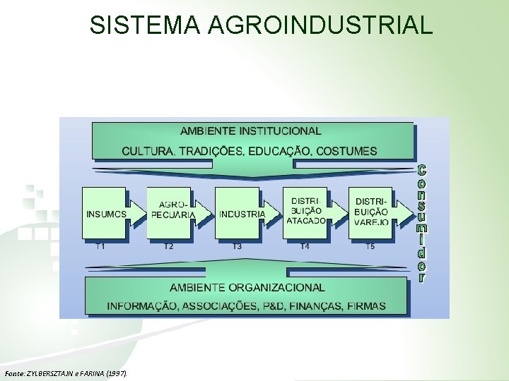 SISTEMA AGROINDUSTRIAL Fonte: ZYLBERSZTAJN e FARINA (1997). 