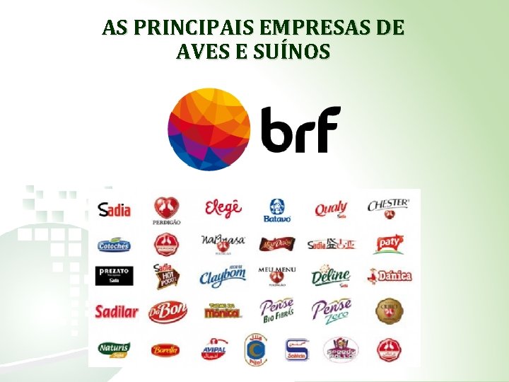 AS PRINCIPAIS EMPRESAS DE AVES E SUÍNOS 