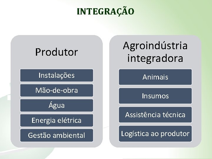 INTEGRAÇÃO Produtor Agroindústria integradora Instalações Animais Mão-de-obra Água Energia elétrica Gestão ambiental Insumos Assistência