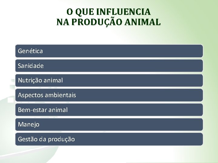 O QUE INFLUENCIA NA PRODUÇÃO ANIMAL Genética Sanidade Nutrição animal Aspectos ambientais Bem-estar animal