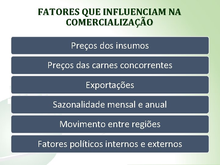 FATORES QUE INFLUENCIAM NA COMERCIALIZAÇÃO Preços dos insumos Preços das carnes concorrentes Exportações Sazonalidade