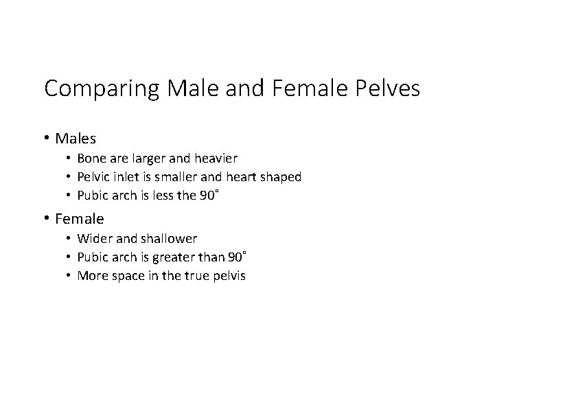 Comparing Male and Female Pelves • Males • Bone are larger and heavier •