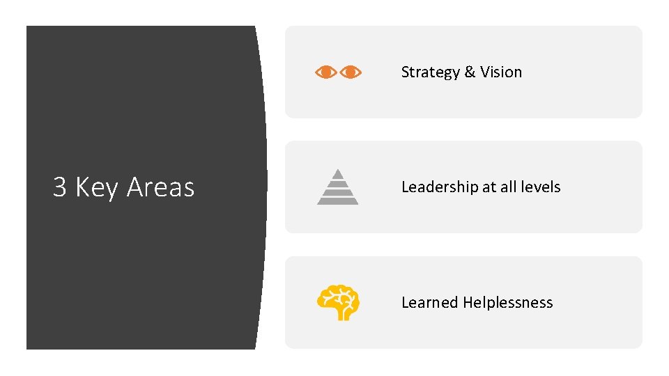 Strategy & Vision 3 Key Areas Leadership at all levels Learned Helplessness 