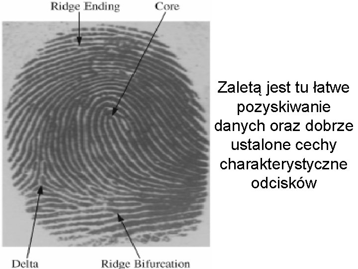 Zaletą jest tu łatwe pozyskiwanie danych oraz dobrze ustalone cechy charakterystyczne odcisków 