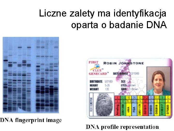 Liczne zalety ma identyfikacja oparta o badanie DNA 