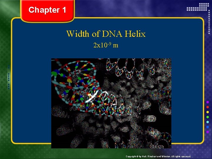 Chapter 1 Width of DNA Helix 2 x 10 -9 m Copyright © by