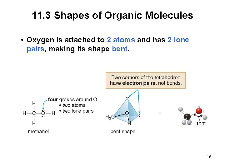 11. 3 Shapes of Organic Molecules • Oxygen is attached to 2 atoms and