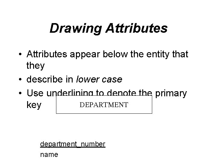 Drawing Attributes • Attributes appear below the entity that they • describe in lower