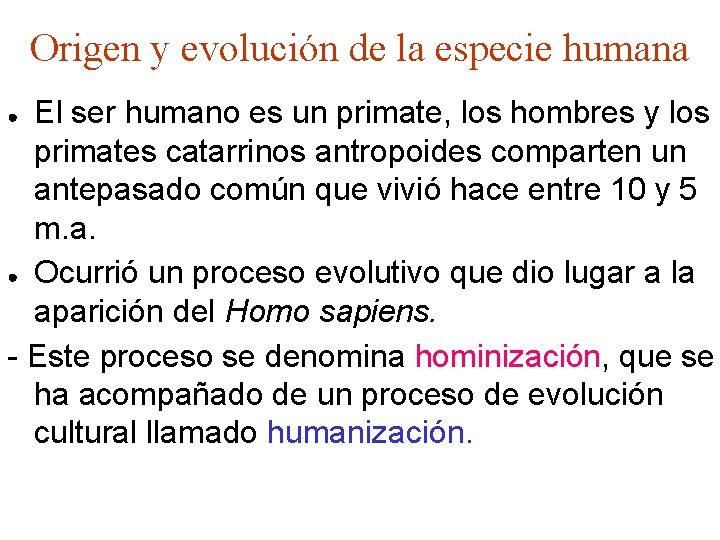 Origen y evolución de la especie humana El ser humano es un primate, los