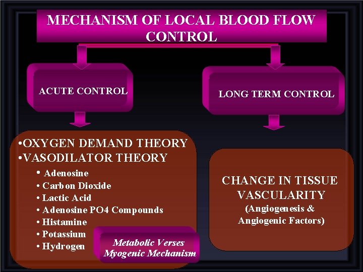 MECHANISM OF LOCAL BLOOD FLOW CONTROL ACUTE CONTROL • OXYGEN DEMAND THEORY • VASODILATOR