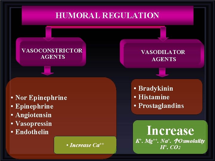 HUMORAL REGULATION VASOCONSTRICTOR AGENTS VASODILATOR AGENTS • Bradykinin • Histamine • Prostaglandins • Nor