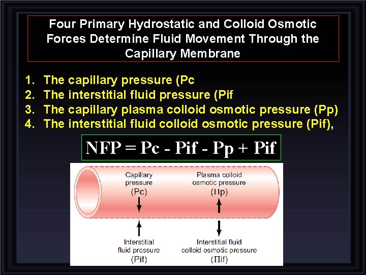 Four Primary Hydrostatic and Colloid Osmotic Forces Determine Fluid Movement Through the Capillary Membrane