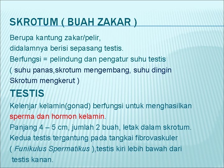 SKROTUM ( BUAH ZAKAR ) Berupa kantung zakar/pelir, didalamnya berisi sepasang testis. Berfungsi =