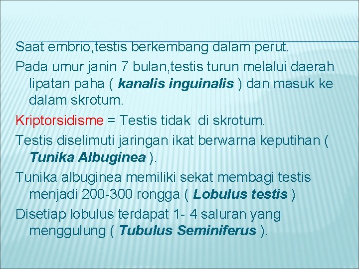 Saat embrio, testis berkembang dalam perut. Pada umur janin 7 bulan, testis turun melalui