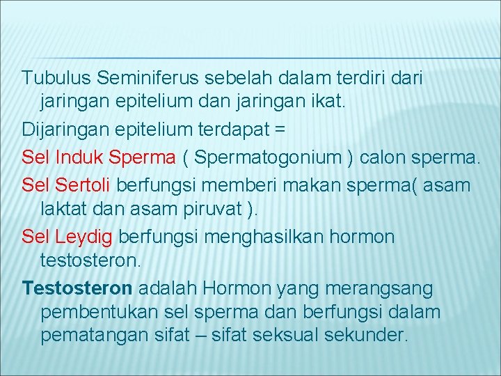 Tubulus Seminiferus sebelah dalam terdiri dari jaringan epitelium dan jaringan ikat. Dijaringan epitelium terdapat