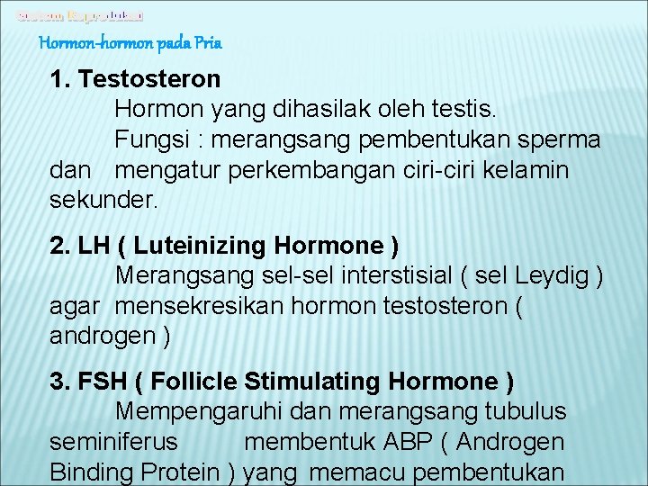 Hormon-hormon pada Pria 1. Testosteron Hormon yang dihasilak oleh testis. Fungsi : merangsang pembentukan