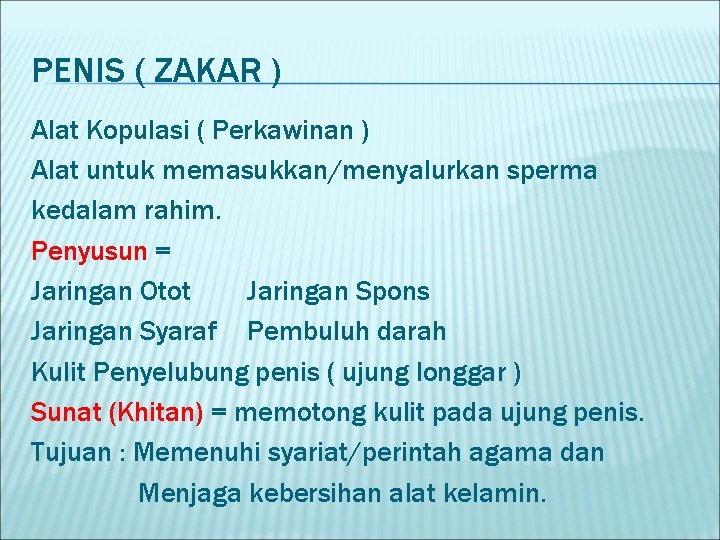 PENIS ( ZAKAR ) Alat Kopulasi ( Perkawinan ) Alat untuk memasukkan/menyalurkan sperma kedalam