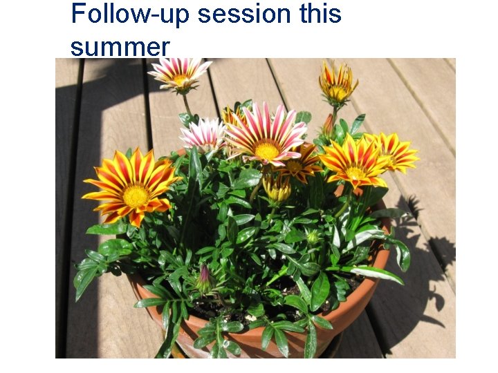 Follow-up session this summer 